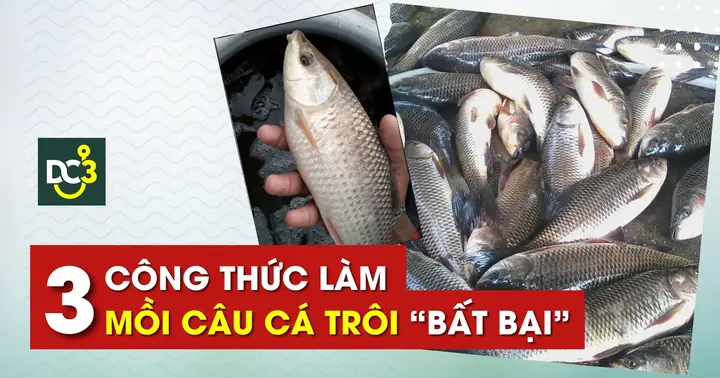 Top 3 Công Thức Làm Mồi Câu Cá Trôi “bất Bại” - 2025