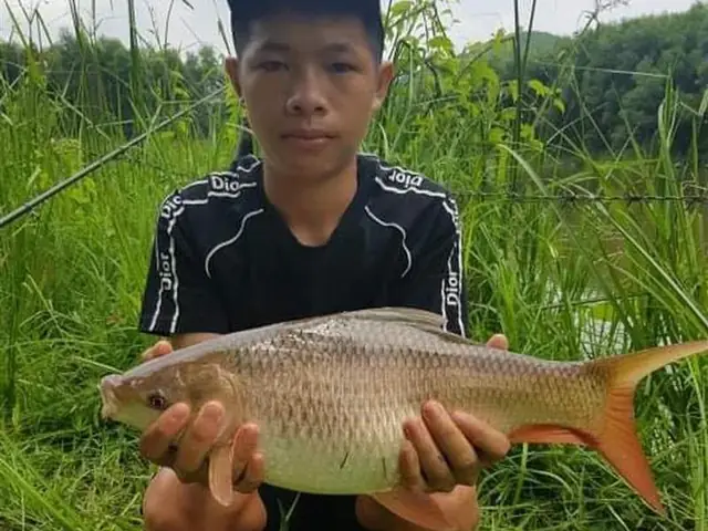 Kinh Nghiệm Câu Cá Trôi Anh Em Nên Tham Khảo