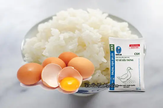 Mồi Câu Cá Trôi Ấn Độ Từ Cơm Nguội Mồi Câu Cá Trôi Ấn Độ Từ Cơm Nguội