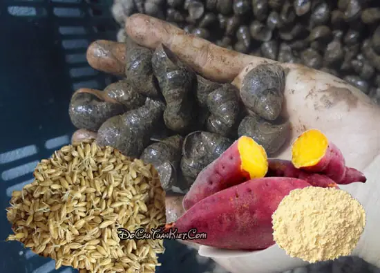 Mồi Câu Cá Trôi Củ Từ Ốc Vặn Mồi Câu Cá Trôi Củ Từ Ốc Vặn