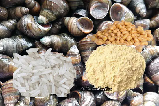 Mồi Câu Cá Trôi Tự Nhiên Từ Ốc Vặn Mồi Câu Cá Trôi Tự Nhiên Từ Ốc Vặn