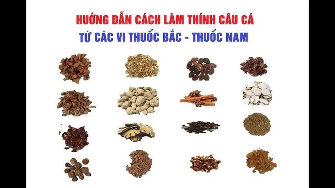 Mồi Câu Cá Vị Thuốc Bắc: Công Thức Tự Chế & Hướng Dẫn Sử Dụng Hiệu Quả