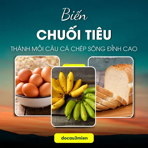 Biến Chuối Tiêu Thành Mồi Câu Cá Chép Sông Đỉnh Cao
