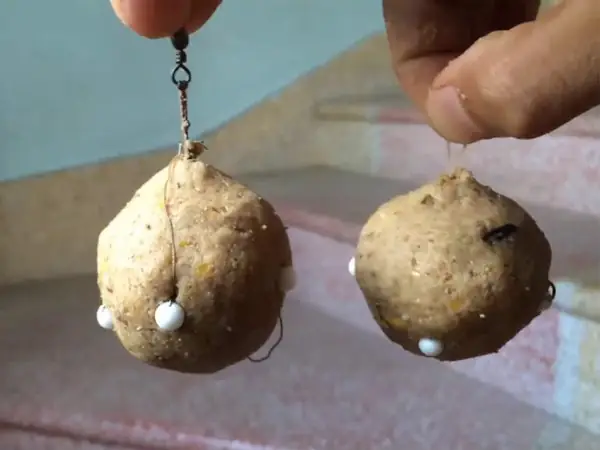 Làm Mồi Câu Lăng Xê Cá Chép Sông Hiệu Quả Với Mồi Câu Cá