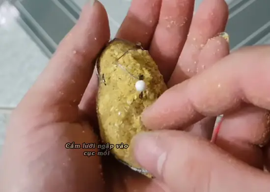 Mồi Câu Lăng Xê Cá Trắm: Bí Quyết Tự Làm Và Sử Dụng Hiệu Quả Nhất