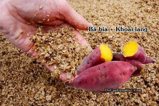 Các Thành Phần Chính Tạo Nên Mồi Câu Lăng Xê Cá Trắm Đen Hiệu Quả Các Thành Phần Chính Tạo Nên Mồi Câu Lăng Xê Cá Trắm Đen Hiệu Quả