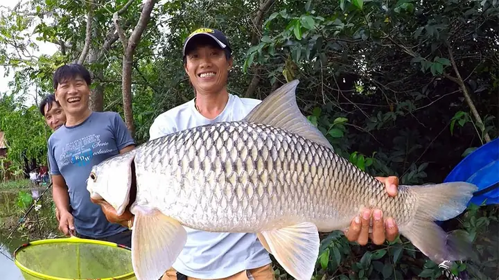 Mồi Câu Lăng Xê Cá Trôi Mồi Câu Lăng Xê Cá Trôi