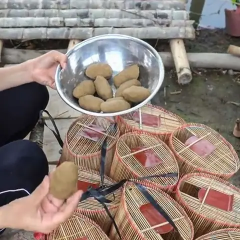 Mồi Đặt Cá Bóng Dừa: Cách Làm, Công Dụng Và Hướng Dẫn Sử Dụng Hiệu Quả