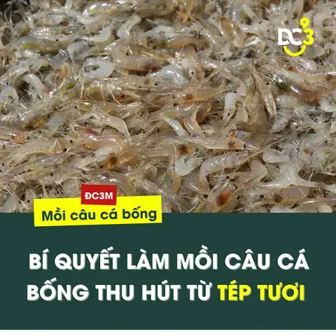 Các Loại Mồi Tự Nhiên Dụ Cá Bống Tượng Hiệu Quả Các Loại Mồi Tự Nhiên Dụ Cá Bống Tượng Hiệu Quả