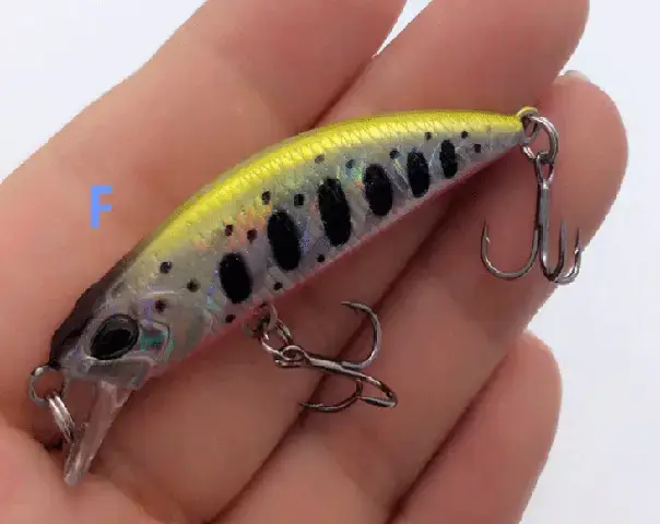 Các Loại Mồi Giả Câu Cá Tráp Biển Phổ Biến Và Cách Sử Dụng