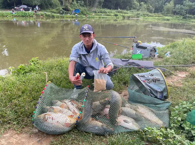 Cách Xả Mồi Câu Cá Chép Hiệu Quả: Bí Quyết Từ Chuyên Gia