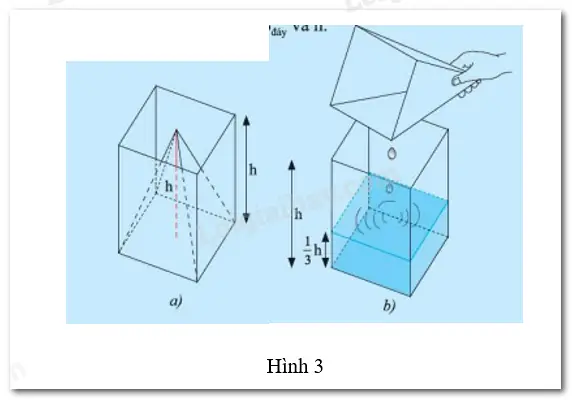 Một Bể Cá Cảnh Hình Hộp Chữ Nhật Một Bể Cá Cảnh Hình Hộp Chữ Nhật