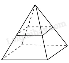 Một Bể Cá Cảnh Hình Hộp Chữ Nhật Một Bể Cá Cảnh Hình Hộp Chữ Nhật