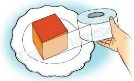 Một Bể Kính Nuôi Cá Dạng Hình Lập Phương