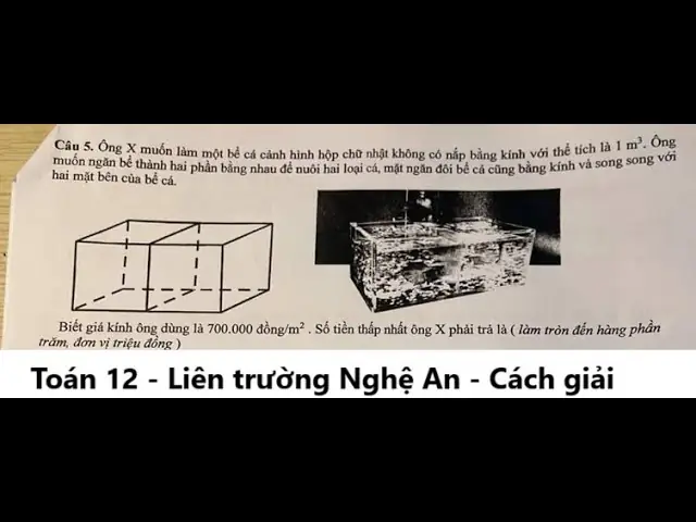 Bể Nuôi Cá Cảnh Dạng Hộp Chữ Nhật: Lợi Ích, Cách Chọn & Hướng Dẫn Chi Tiết Bể Nuôi Cá Cảnh Dạng Hộp Chữ Nhật: Lợi Ích, Cách Chọn & Hướng Dẫn Chi Tiết