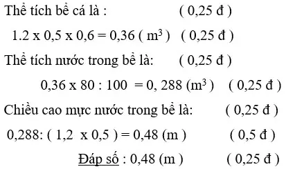 Bể Nuôi Cá Cảnh Dạng Hộp Chữ Nhật: Lợi Ích, Cách Chọn & Hướng Dẫn Chi Tiết Bể Nuôi Cá Cảnh Dạng Hộp Chữ Nhật: Lợi Ích, Cách Chọn & Hướng Dẫn Chi Tiết