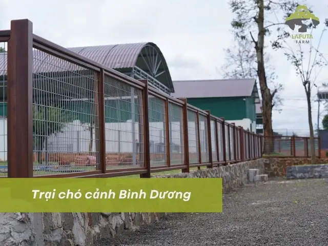 Trại Chó Cảnh Bình Dương