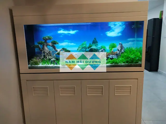 Mua Bể Cá Cảnh Ở Hải Dương