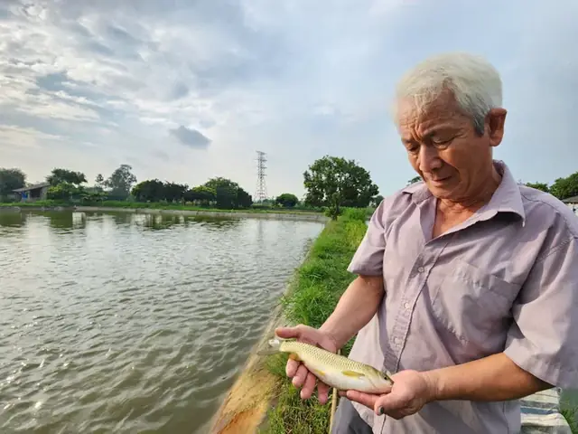 Mơ Về Thương Hiệu Cá Nuôi Bằng Bèo Hoa Dâu
