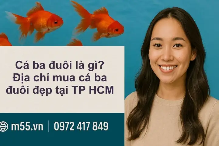 Cá Ba Đuôi Là Gì?