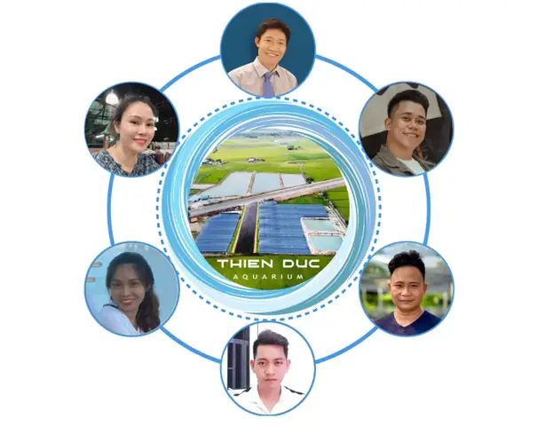 Đa Dạng Chủng Loại Khác Nhau Tại Trại Cá Cảnh Giống Tphcm