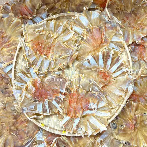 Mua Cá Đuối Ở Tphcm: Đâu Là Nơi Cung Cấp Uy Tín, Chất Lượng? Mua Cá Đuối Ở Tphcm: Đâu Là Nơi Cung Cấp Uy Tín, Chất Lượng?