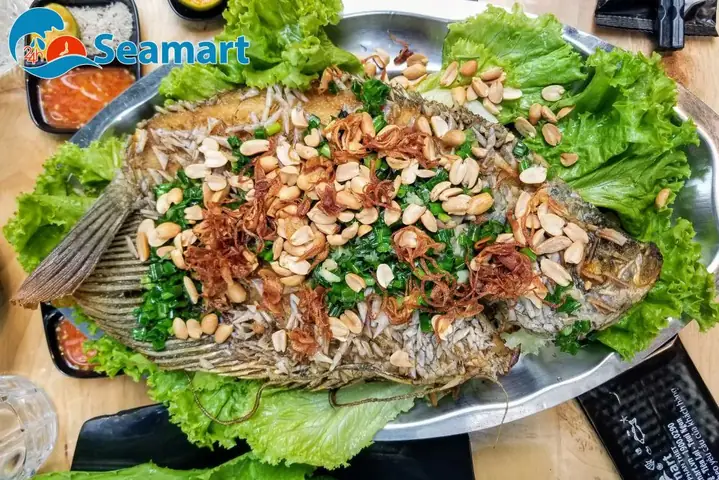 Món Ngon Từ Cá Tai Tượng