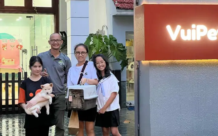Vuipet – Shop Bán Chó Cảnh Tphcm Uy Tín