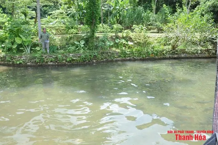 Trại Cá Dầm Xanh Bên Suối Pượn - Báo Thanh Hóa