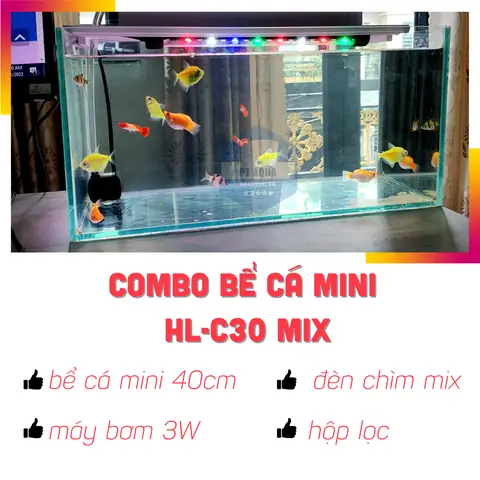 Cửa Hàng Hồ Cá Mini - Cơ Sở Bán Hồ Cá Mini Biên Hòa Uy Tín, Đẹp Rẻ