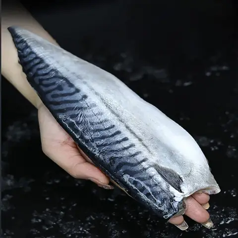 Mua Hồ Cá Ở Bình Dương: Hướng Dẫn Chi Tiết Từ A-z Cho Người Mới Bắt Đầu