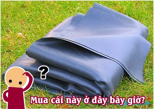 Mua Hồ Cá Ở Đâu