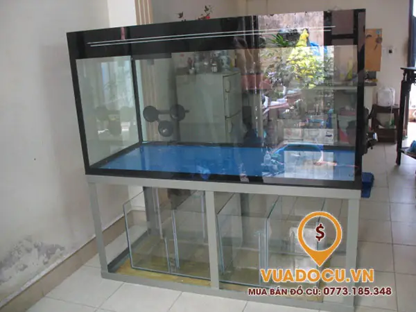 Quy Trình Thanh Lý Hồ Cá Cũ Tphcm Của Vua Đồ Cũ