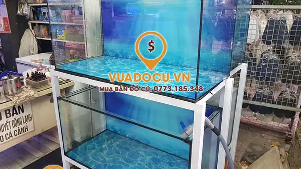 Chiêm Ngưỡng Những Hồ Cá Cũ Đẹp, Chất Lượng Cao Được Bày Bán Tại Vua Đồ Cũ