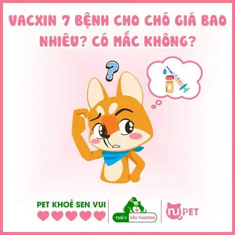 Tiêu Chí Quan Trọng Khi Lựa Chọn Địa Điểm Mua Vacxin 7 Bệnh Cho Chó Ở Tphcm