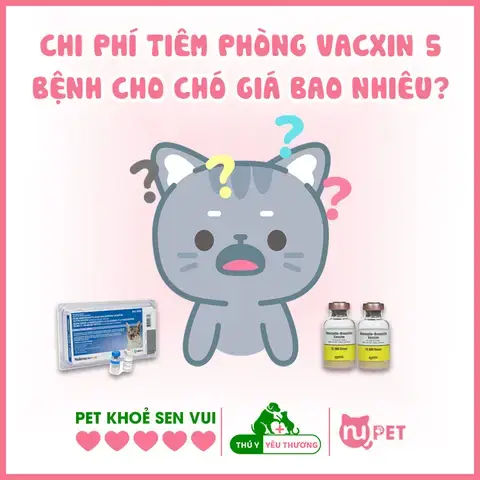 Các Loại Vacxin 7 Bệnh Phổ Biến Hiện Nay