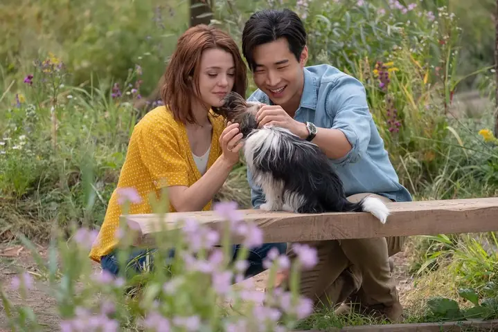 Chút Cảm Nhận Về "mục Đích Sống Của Một Chú Chó" (a Dog's Purpose & A Dog's Journey)