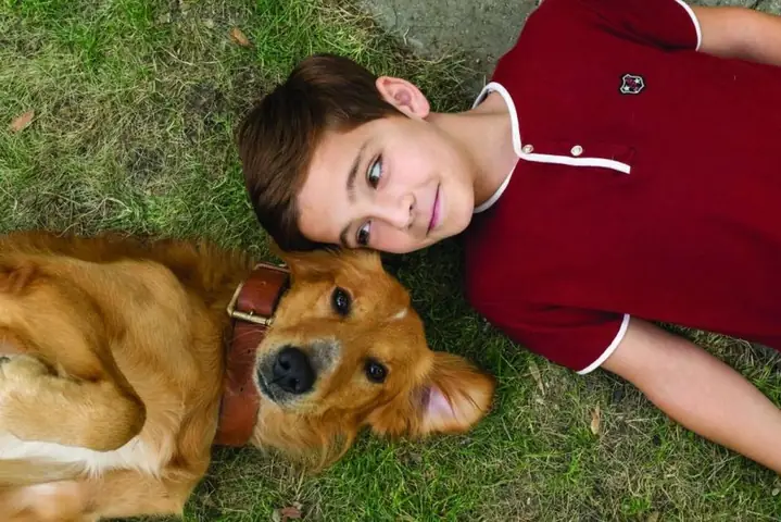 Chút Cảm Nhận Về "mục Đích Sống Của Một Chú Chó" (a Dog's Purpose & A Dog's Journey)