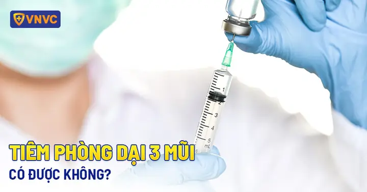 Mũi Chó Thính Hơn Mũi Người Bao Nhiêu Lần? Khoa Học Lý Giải Mũi Chó Thính Hơn Mũi Người Bao Nhiêu Lần? Khoa Học Lý Giải