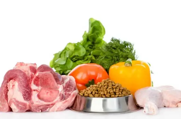 Lựa Chọn Nguyên Liệu Phù Hợp