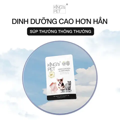Chế Độ Ăn Dặm Cho Chó Con Từ 01 Tháng Tuổi