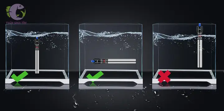 Cách Sử Dụng Máy Sưởi Bể Cá An Toàn