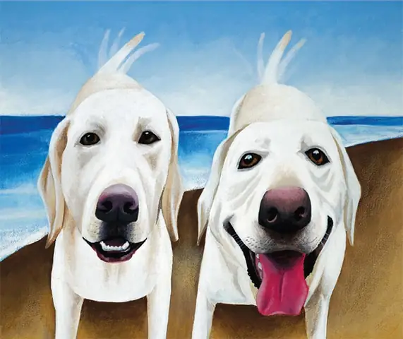 Nên Nuôi Chó Đực Hay Cái Nên Nuôi Chó Đực Hay Cái