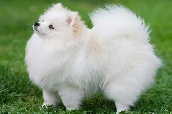 Lịch Sử Và Nguồn Gốc Lịch Sử Và Nguồn Gốc