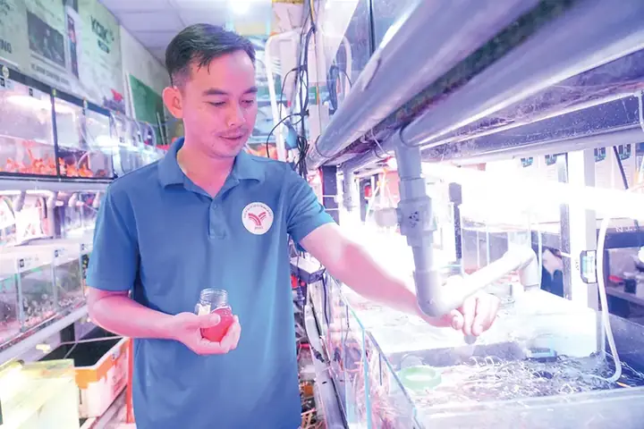 Khởi Nghiệp Thành Công Với Mô Hình Kinh Doanh Cá Kiểng - Báo Cần ...