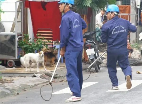 Dắt Chó Mà Không Đeo Rọ Mõm Cắn Chết Người Bị Xử Phạt Như Thế Nào?