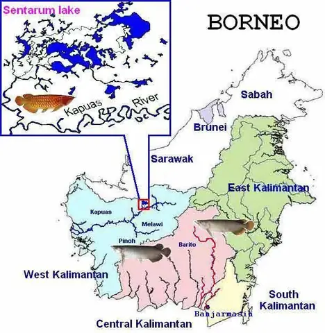 Địa Bàn Phân Bố Của Cá Huyết Long