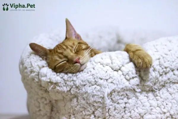 Dấu Hiệu Bất Thường Cần Chú Ý