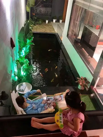 Hồ Cá Giúp Cải Thiện Chất Lượng, Làm Mát Không Khí Hồ Cá Giúp Cải Thiện Chất Lượng, Làm Mát Không Khí