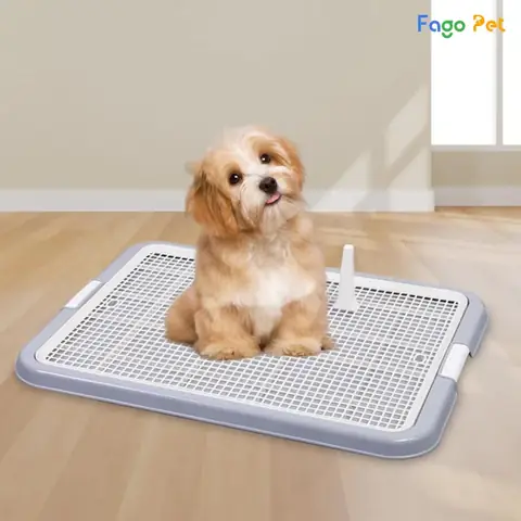 Nhà Vệ Sinh Cho Chó Serbery